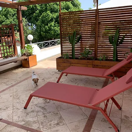 Maris * カーポ・ヴァチカーノ